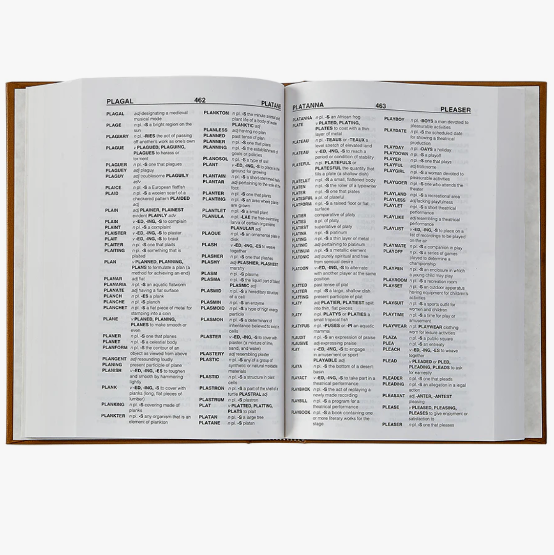 Leather Bound Scrabble Dictionary