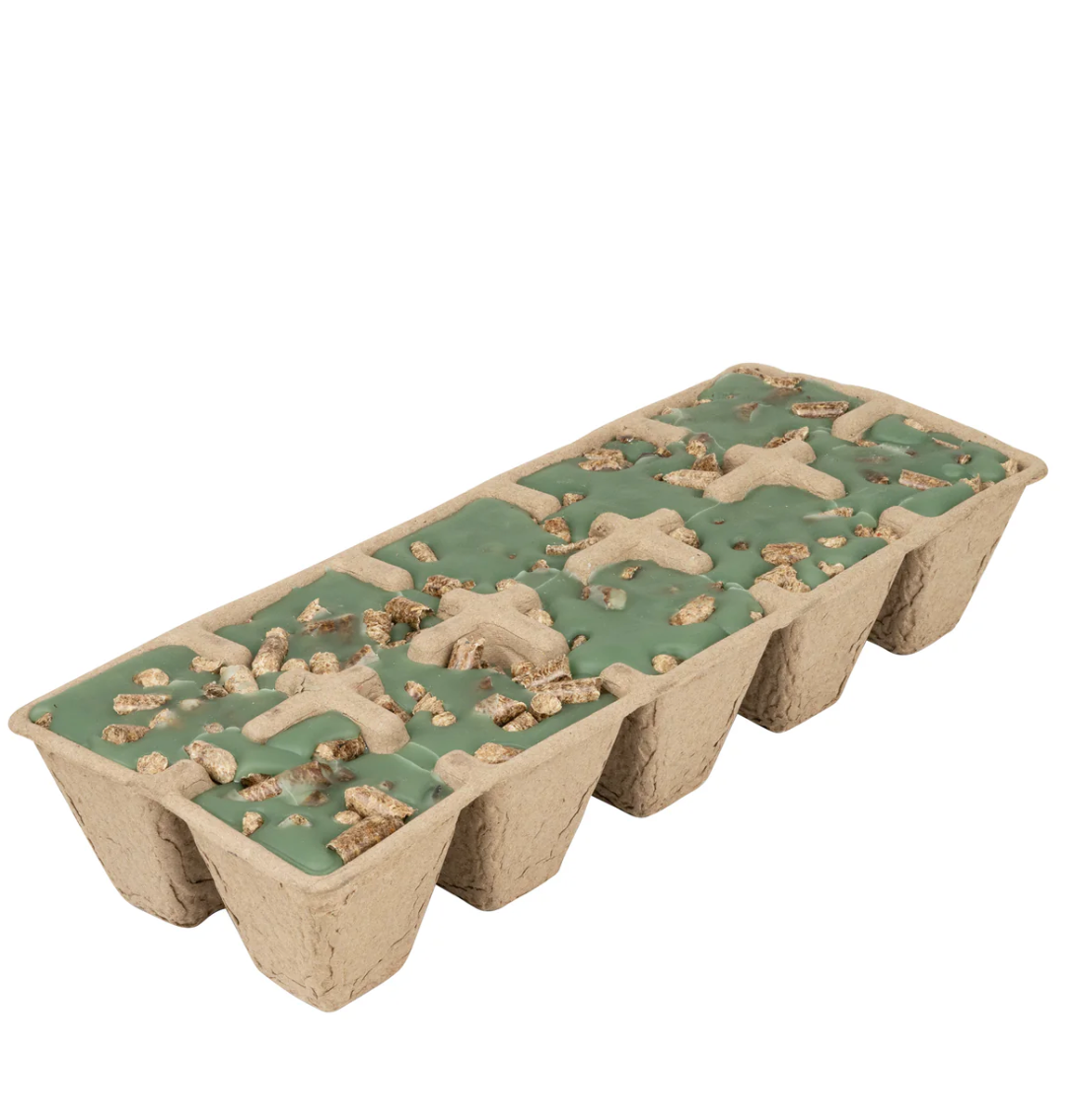 Firestarter - Evergreen Forest